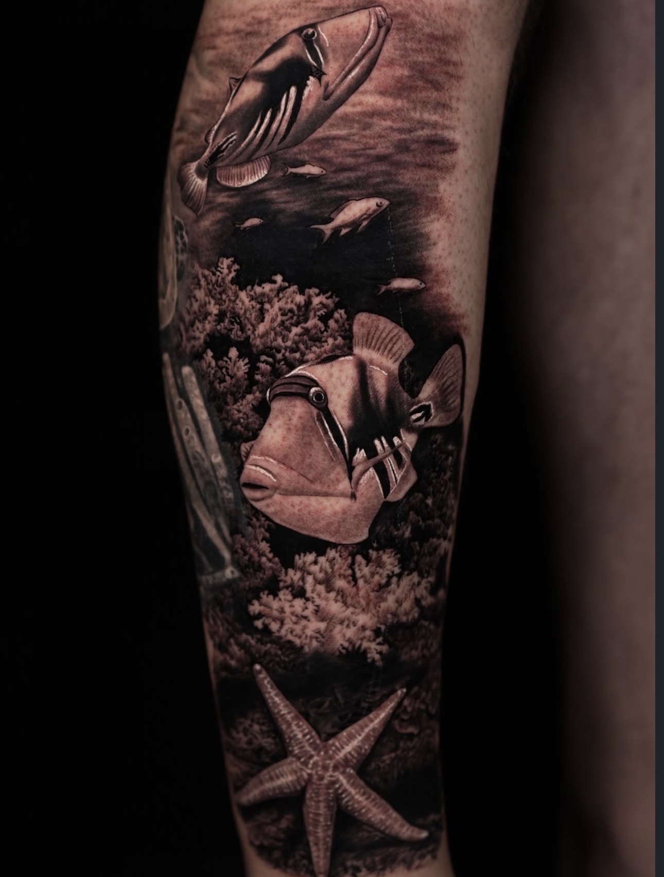 Black and grey underwater reef fish and starfish realism tattoo